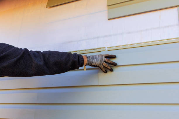 Best Steel Siding Installation  in Wharton, TX